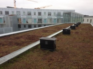 Brf.Vårdträdet